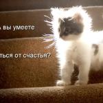 Реальные истории из жизни