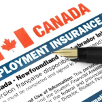 Employment Insurance